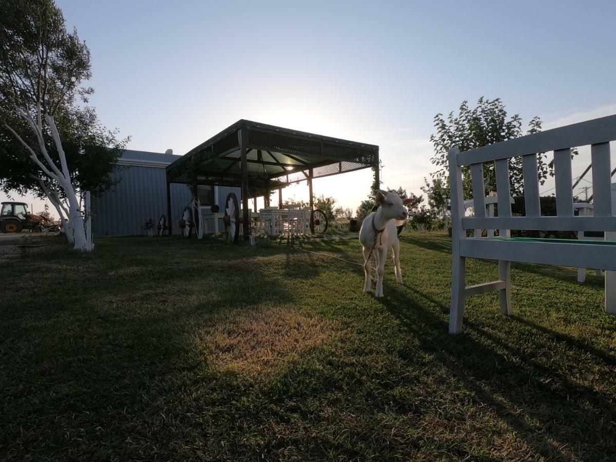 Bagban Bozcaada Bed & Breakfast Exterior foto